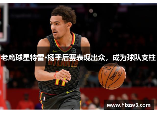 老鹰球星特雷·杨季后赛表现出众，成为球队支柱