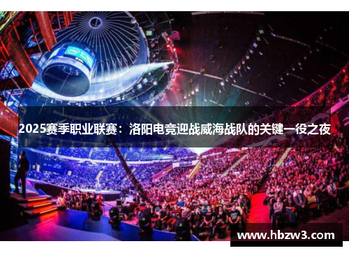 2025赛季职业联赛：洛阳电竞迎战威海战队的关键一役之夜