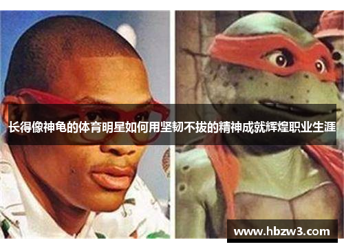 长得像神龟的体育明星如何用坚韧不拔的精神成就辉煌职业生涯