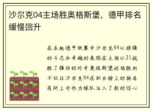沙尔克04主场胜奥格斯堡，德甲排名缓慢回升