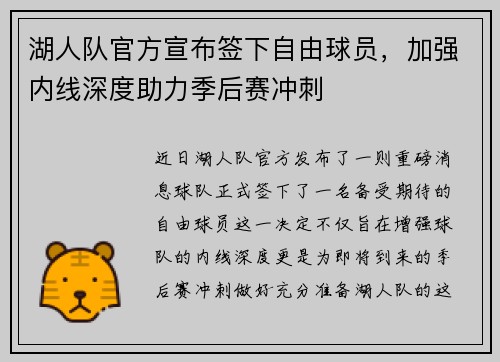 湖人队官方宣布签下自由球员，加强内线深度助力季后赛冲刺